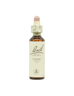 Flor nº 13 Aulaga (gorse) 20ml Bach